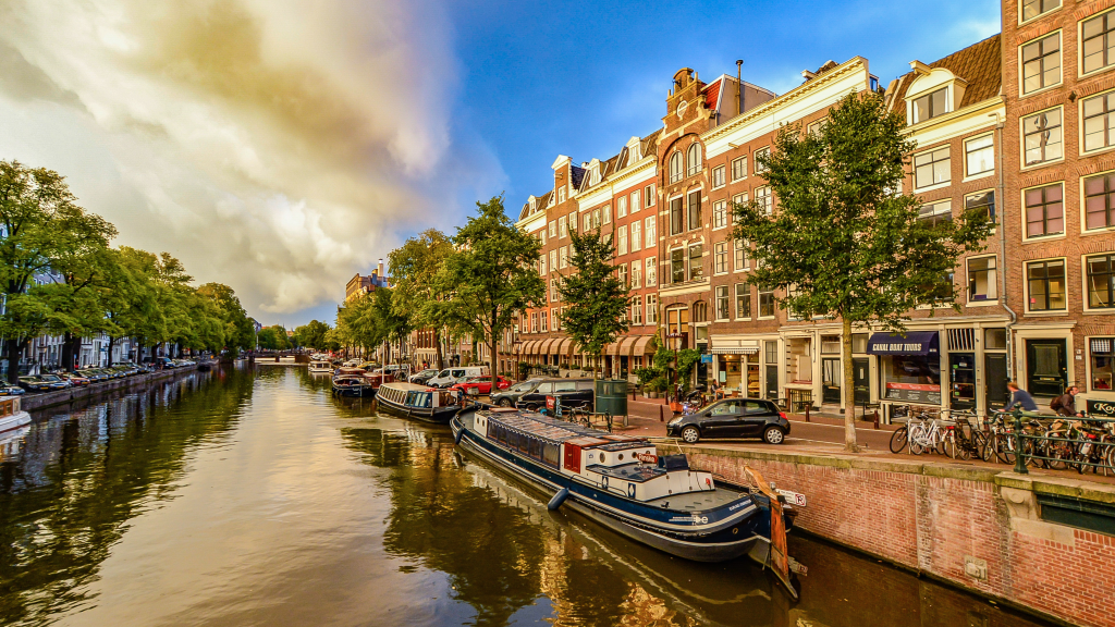 Study in Netherlands